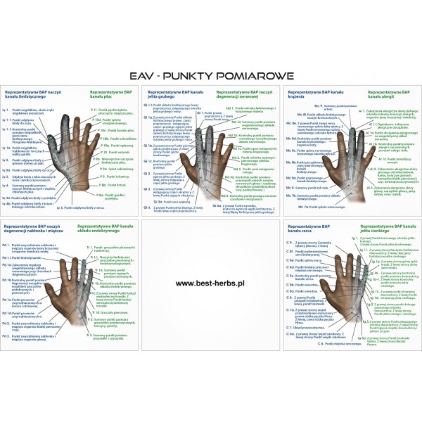 Plakat ręka EAV - punkty pomiarowe