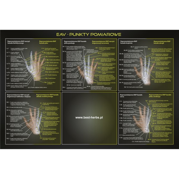 Plakat ręka EAV - punkty pomiarowe - czarne tło