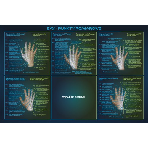 Plakat ręka EAV - punkty pomiarowe - czarne tło - niebieski ton