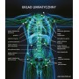 Plakat układ limfatyczy - czarne tło